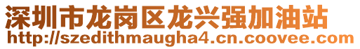 深圳市龍崗區(qū)龍興強(qiáng)加油站