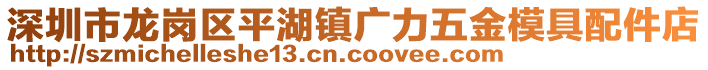 深圳市龍崗區平湖鎮廣力五金模具配件店