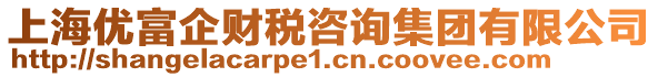 上海優(yōu)富企財稅咨詢集團(tuán)有限公司