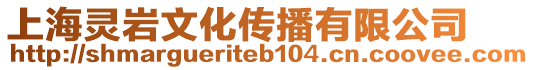 上海靈巖文化傳播有限公司