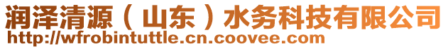 潤(rùn)澤清源（山東）水務(wù)科技有限公司