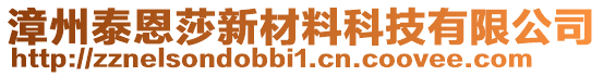 漳州泰恩莎新材料科技有限公司