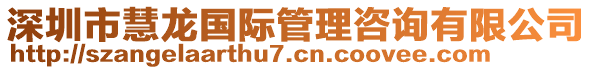 深圳市慧龍國際管理咨詢有限公司