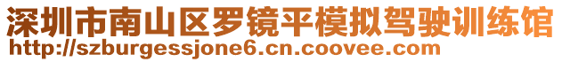 深圳市南山區(qū)羅鏡平模擬駕駛訓(xùn)練館