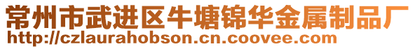 常州市武進(jìn)區(qū)牛塘錦華金屬制品廠