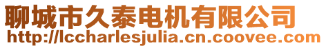 聊城市久泰電機(jī)有限公司