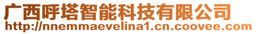 廣西呼塔智能科技有限公司