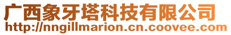 廣西象牙塔科技有限公司