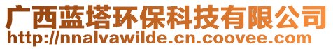 廣西藍(lán)塔環(huán)保科技有限公司