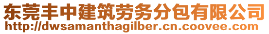 東莞豐中建筑勞務(wù)分包有限公司