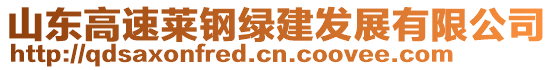 山東高速萊鋼綠建發(fā)展有限公司