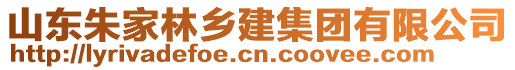 山東朱家林鄉(xiāng)建集團有限公司