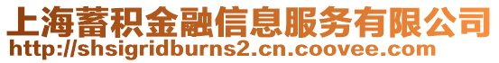 上海蓄積金融信息服務(wù)有限公司