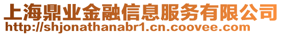 上海鼎業(yè)金融信息服務(wù)有限公司