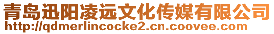 青島迅陽(yáng)凌遠(yuǎn)文化傳媒有限公司