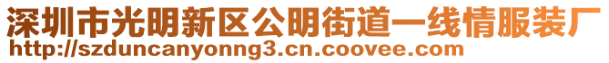 深圳市光明新區(qū)公明街道一線情服裝廠