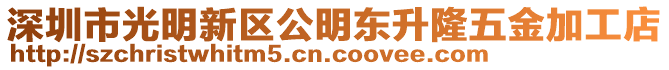 深圳市光明新區(qū)公明東升隆五金加工店