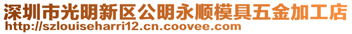 深圳市光明新區(qū)公明永順模具五金加工店