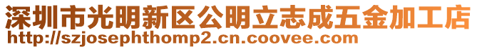 深圳市光明新區(qū)公明立志成五金加工店