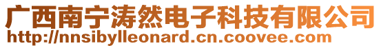 广西南宁涛然电子科技有限公司