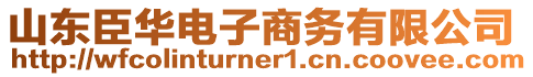 山東臣華電子商務(wù)有限公司