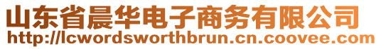 山東省晨華電子商務(wù)有限公司