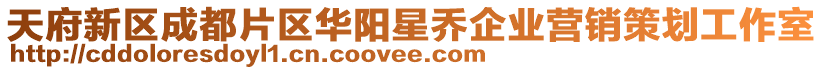 天府新區(qū)成都片區(qū)華陽(yáng)星喬企業(yè)營(yíng)銷(xiāo)策劃工作室