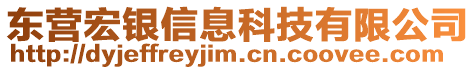 东营宏银信息科技有限公司