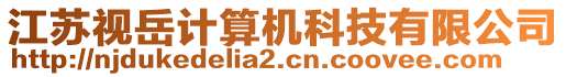 江蘇視岳計算機科技有限公司