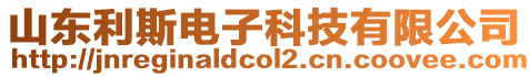 山東利斯電子科技有限公司