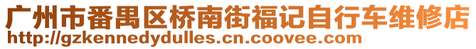 廣州市番禺區(qū)橋南街福記自行車維修店