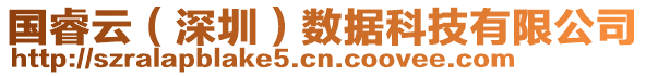 国睿云（深圳）数据科技有限公司