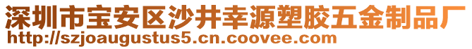 深圳市寶安區(qū)沙井幸源塑膠五金制品廠