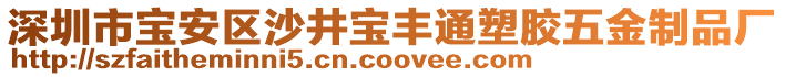 深圳市宝安区沙井宝丰通塑胶五金制品厂