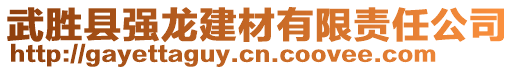 武胜县强龙建材有限责任公司