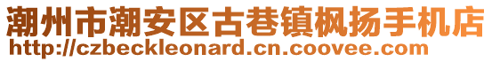 潮州市潮安區(qū)古巷鎮(zhèn)楓揚手機店