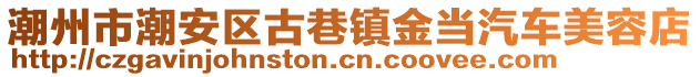 潮州市潮安區(qū)古巷鎮(zhèn)金當(dāng)汽車美容店