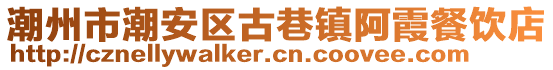 潮州市潮安區(qū)古巷鎮(zhèn)阿霞餐飲店