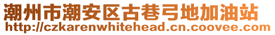 潮州市潮安區(qū)古巷弓地加油站