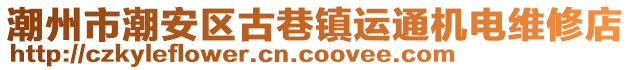 潮州市潮安區(qū)古巷鎮(zhèn)運通機電維修店