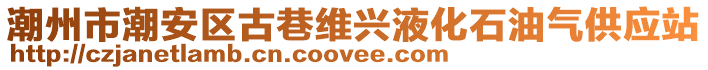 潮州市潮安區(qū)古巷維興液化石油氣供應(yīng)站