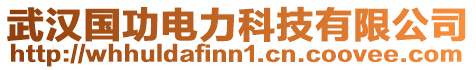 武漢國(guó)功電力科技有限公司