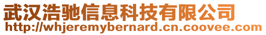 武漢浩馳信息科技有限公司