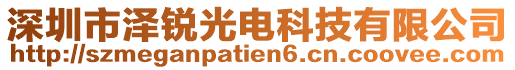 深圳市澤銳光電科技有限公司