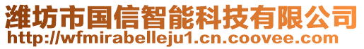 濰坊市國信智能科技有限公司