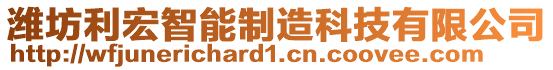 濰坊利宏智能制造科技有限公司