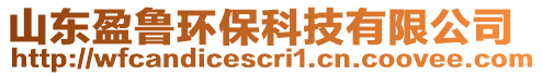 山東盈魯環(huán)保科技有限公司