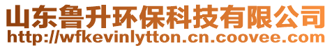 山東魯升環(huán)保科技有限公司