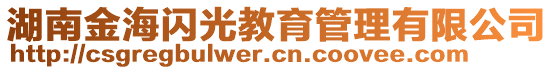 湖南金海閃光教育管理有限公司