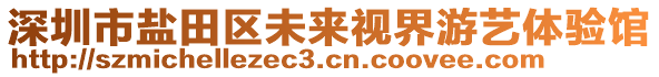 深圳市鹽田區(qū)未來(lái)視界游藝體驗(yàn)館